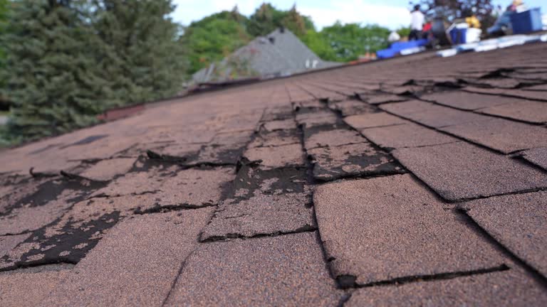 Best Gutter Installation and Repair  in Apple Valley, OH