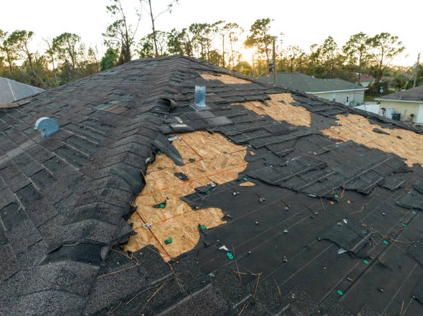 Best Storm Damage Roof Repair  in Apple Valley, OH